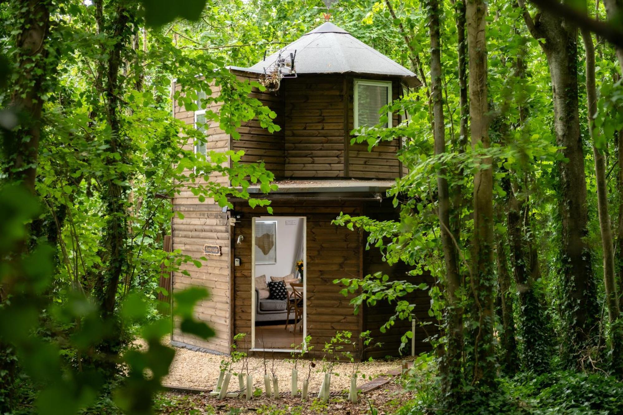Honeycombe - Treehouse In The Heart Of Dorset Villa Blandford Forum Bagian luar foto