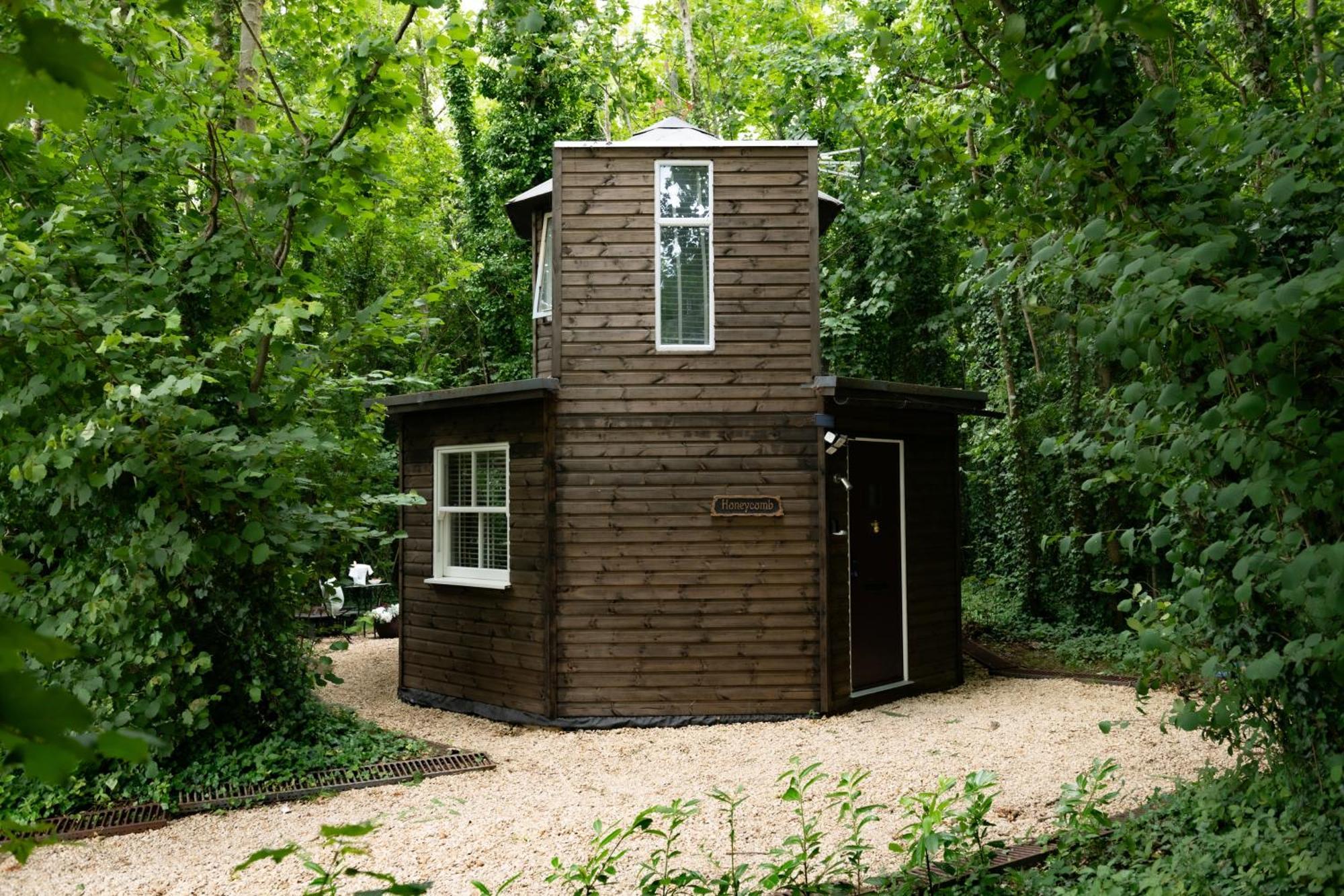 Honeycombe - Treehouse In The Heart Of Dorset Villa Blandford Forum Bagian luar foto